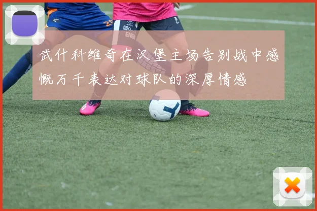 武什科维奇在汉堡主场告别战中感慨万千表达对球队的深厚情感