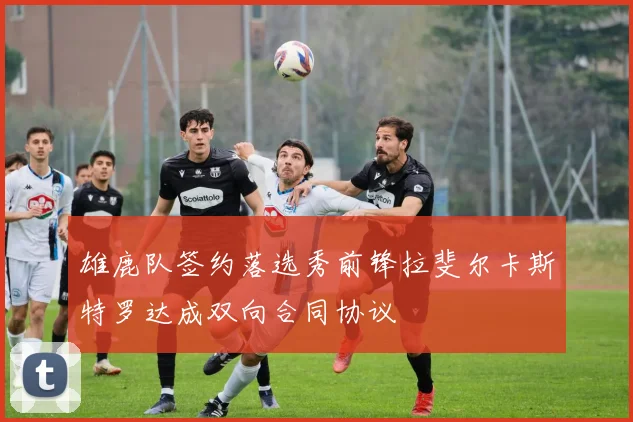 雄鹿队签约落选秀前锋拉斐尔卡斯特罗达成双向合同协议
